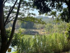 -八仙山公园