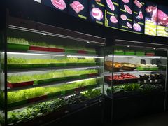 鲜活豌豆苗-番食园鲜食火锅(高新店)