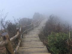 -金子山原生态旅游风景区