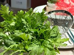 -芸山季·云南山珍菌火锅(宝能环球汇店)