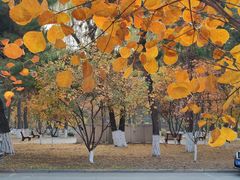 -东北大学(南湖校区)