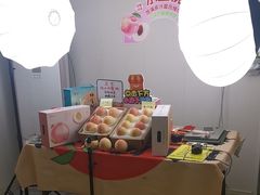 -老袁家蜜桃农场·阳山水蜜桃