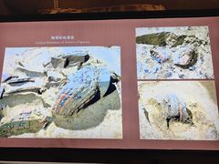 -秦始皇帝陵博物院(兵马俑)