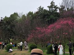 -堤角公园