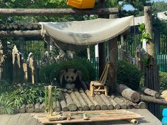 -大连森林动物园