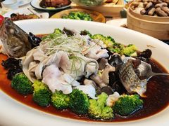 清蒸桂鱼-永乐饭庄(安德路店)