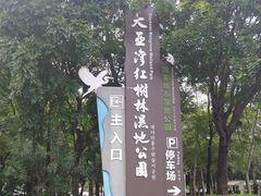 -大亚湾红树林城市湿地公园