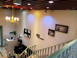 -SIX Hair Consultant