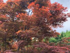 -重庆中央公园(渝北区)