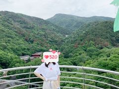 -木兰云雾山
