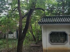 -镇江市南山风景名胜区竹林景区