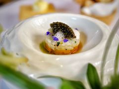 -蝶舍·MAISON PAPILLON