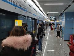 -大龙山(地铁站)