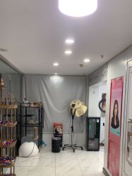 -镁连社·美联社