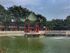 -广东圆玄道观