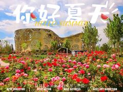 -大兴世界月季主题园