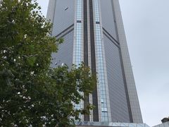 -上海新锦江大酒店