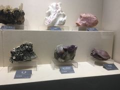 -安徽省地质博物馆