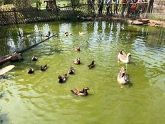 -宁波杭州湾国家湿地公园