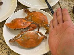 梭子蟹-禾斗海鲜自助(市南银座店)