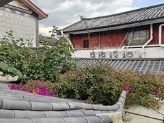 -菌自由丨野生菌火锅特色庭院餐厅(丽江古城店)
