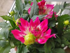 -三旗百汇商品城