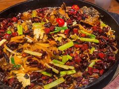 老板恋上鱼-老板恋上鱼(高新万达店)