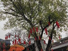 -国恩寺