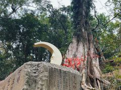 -七仙岭温泉国家森林公园