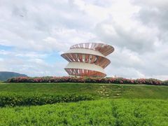 -光明小镇欢乐田园