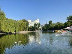 -莲湖公园