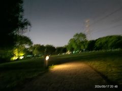 -九里河湿地公园