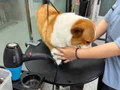 -宠物家(长阳店)