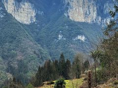 -鹿院坪生态旅游景区