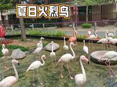 -灵玲国际马戏城