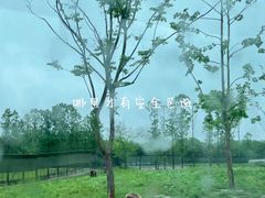 -上海野生动物园