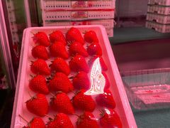 -爱新觉罗福臨火锅馆(万科滑雪场店)