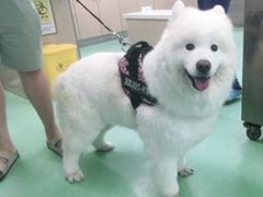 -北京观赏动物医院·24小时大型综合·猫专科·异宠专科
