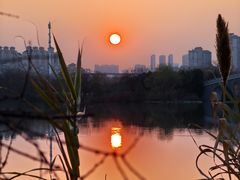 -金银湖国家城市湿地公园