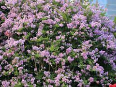 -杭州城北体育公园