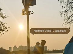-鹤之洲湿地公园