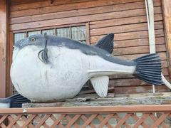 -红叶日本料理(开发区店)