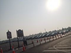 -迪士尼乐园停车场