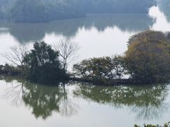 -大湾区中央湿地公园