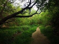 -白水寺森林公园