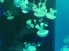 -石林冰雪海洋世界