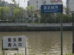 -嘉定紫藤园