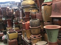 -桂林市花鸟市场