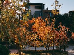 -首开·常青藤二期