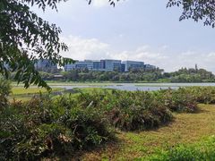 -华侨城湿地公园